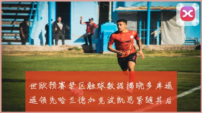 世欧预赛禁区触球数据揭晓多库遥遥领先哈兰德加克波凯恩紧随其后